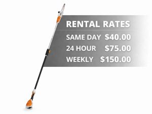 Stihl 10" Battery Pole Saw RENTAL HTA 50
