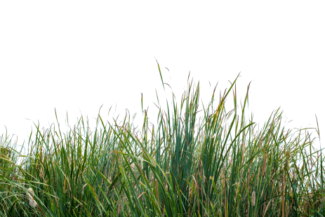 Can You Sharpen Lawn Mower Blades