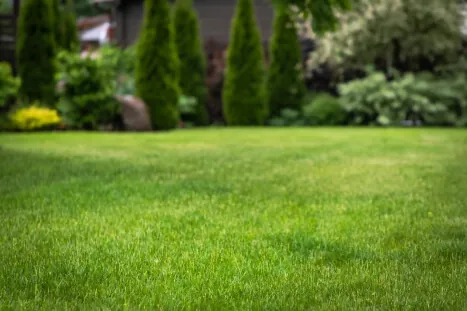 Benefits of Sharp Lawn Mower Blade